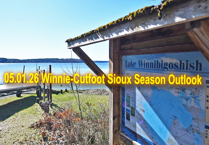 image links to fishing report from Bowen Lodge and the 2026 fishing season outlook