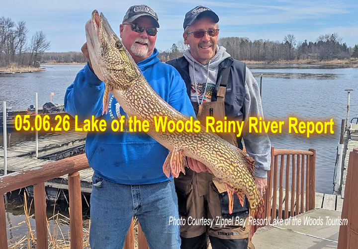 image links to fishing report from Lake of the Woods and the Rainy River