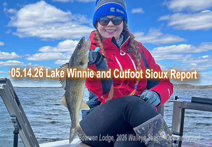 image links to fishing report from Lake Winnibigoshish and Cutfoot Sioux