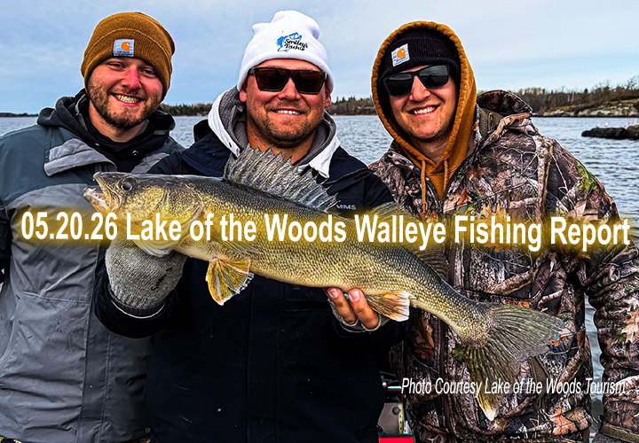 image links to fishing report from Lake of the Woods