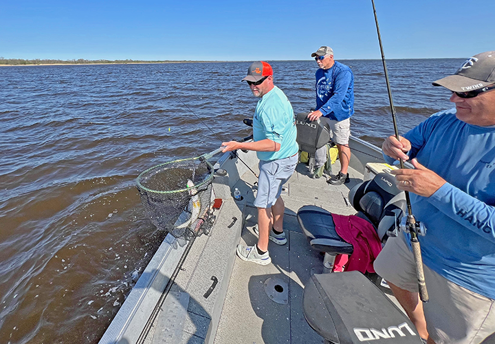 image of Chad Benson retrieving spottail shiners from his traps 