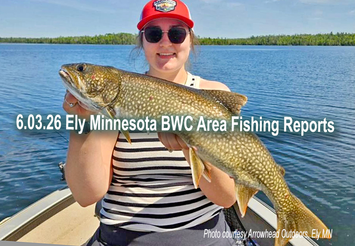 image links to fishig report from the Ely Minnesota BWCA area