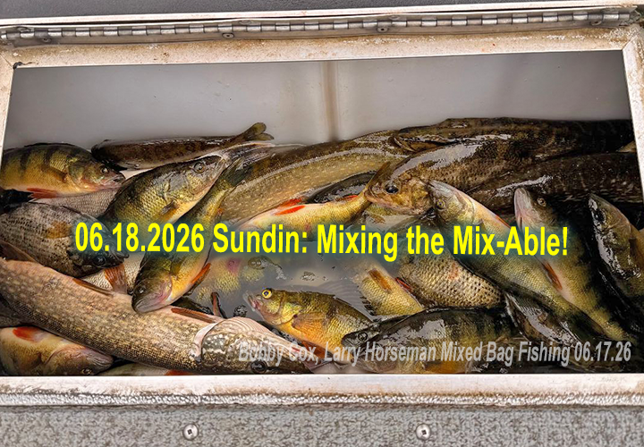 image links to fishing report about mixed bag perch and pike action by Jeff Sundin 