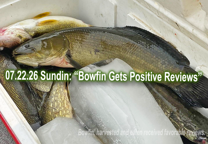 image links to fishing report about the bowfin and a family review about their meal