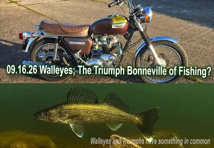 image links to fishing report by Jeff Sundin