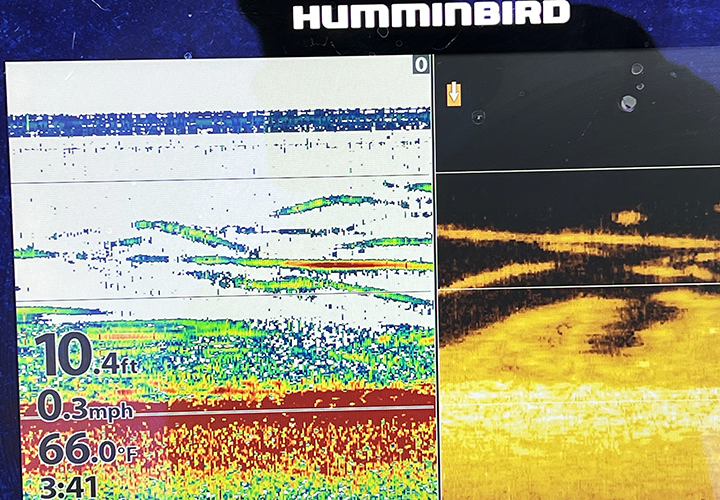 image of jumbo perch on the screen of Humminbird sonar provided by Jeff Sundin 