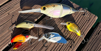 image links to fishing article about new developments in crankbaits for catching bass