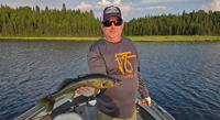 image links to fishing artcile about catching walleyes using presenations most commonly associated with bass fishing