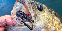 image links to fishing article about new jig head styles for bass fishing