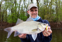 image of Jason Halfen with Giant White Bass