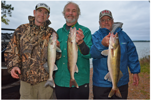 image of anglers with Leech Lake walleyes