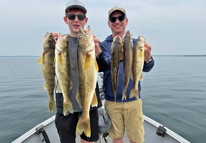 image of anglers holding string of walleyes 