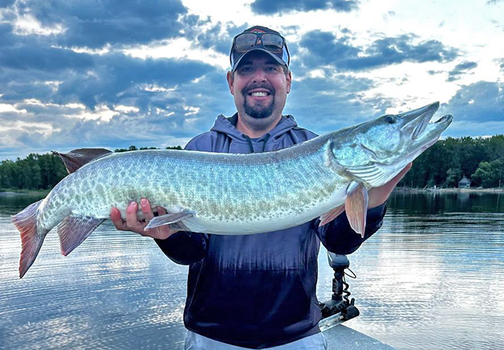 image of fisherman holding big Musky he caught at the Northwest Angle of Lake of the Woods