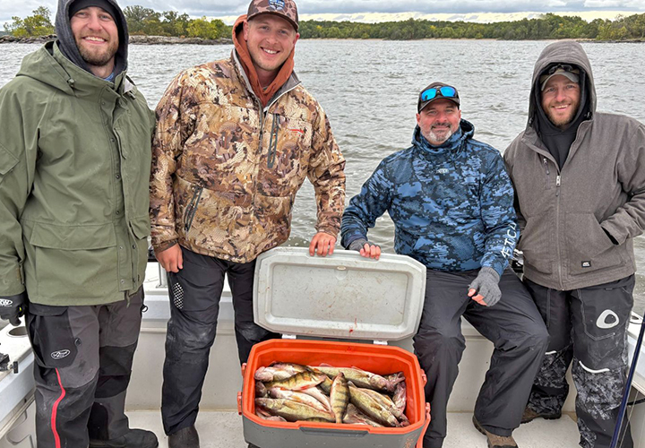 image of anglers showing off a cooler full of walleyes and perch from Lake of the Woods