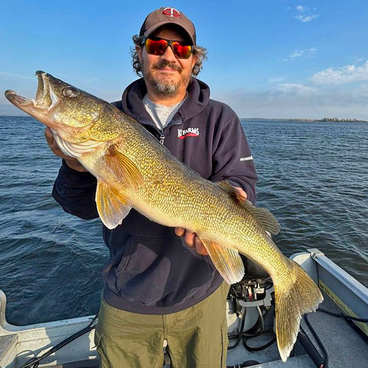 image of angler holding huge walleye caught on Lake of the Woods 
