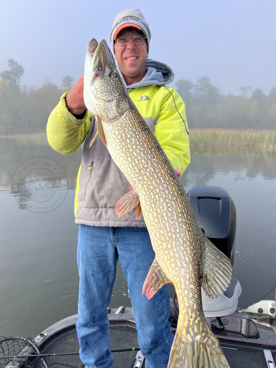 image of Lake of the Woods Fishing Guide holding monster northern pike caught on Lake of the Woods 