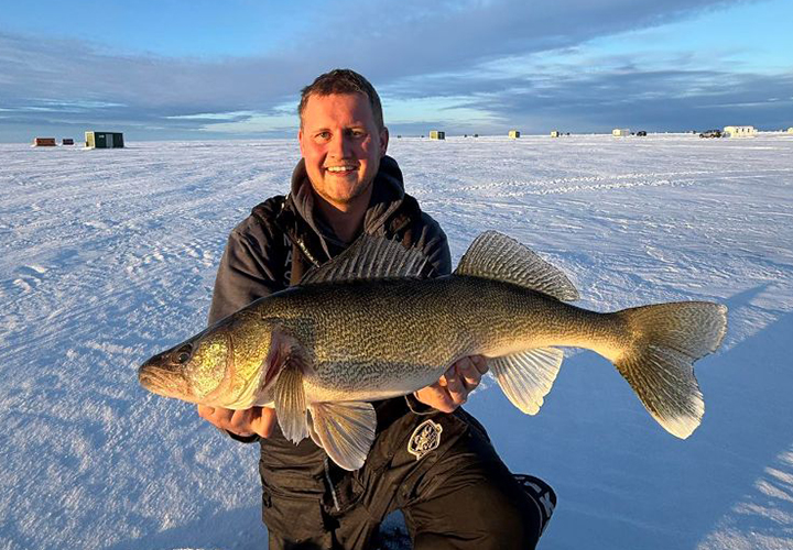 image of huge walleye caught on Lake of the Woods