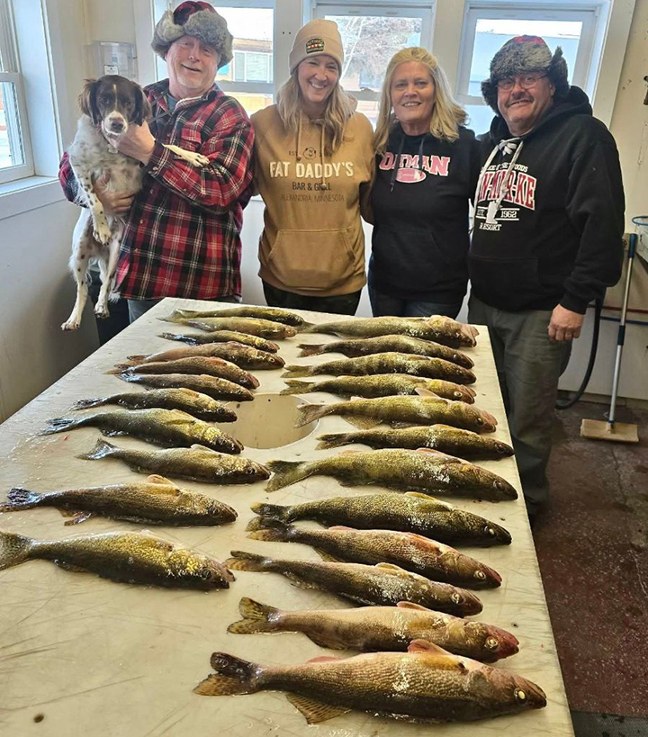image of anglers with of walleyes from Lake of the Woods